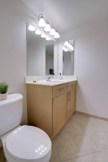 Bright And Cozy Apartment Near Pentagon City Arlington Buitenkant foto