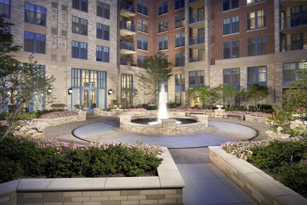 Bright And Cozy Apartment Near Pentagon City Arlington Buitenkant foto