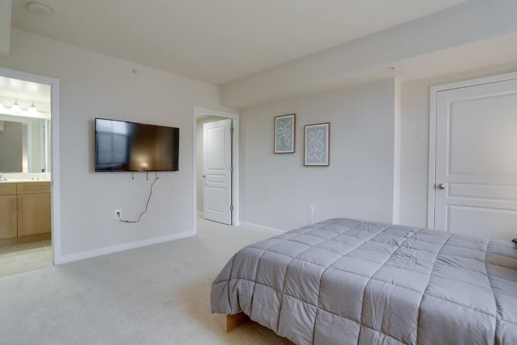 Bright And Cozy Apartment Near Pentagon City Arlington Buitenkant foto